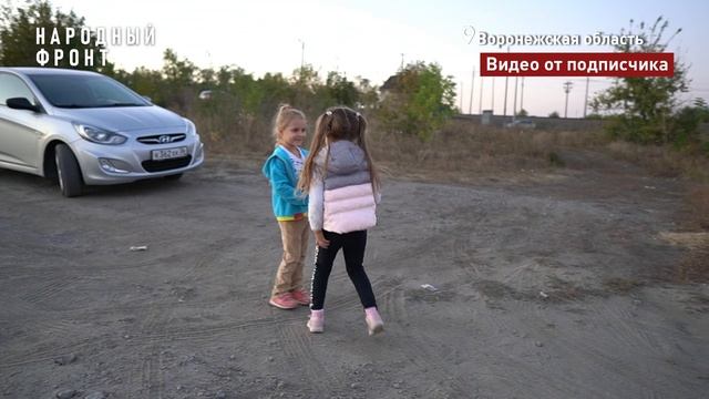 Пять километров пешком через поле с дикими животными и бродячими собаками