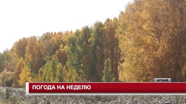 ПОГОДА НА НЕДЕЛЮ 14.10