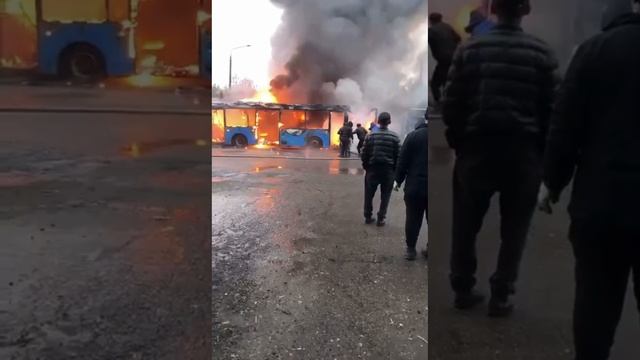 В подмосковном Видном сгорело 4 автобуса.