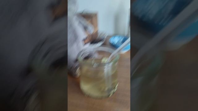 обед Басика