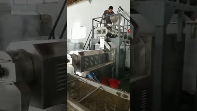 Экструдер для производства сухого корма для животных