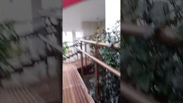 Снег в октябре уже.