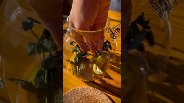 Айва в саду, отличная замена лимону 🍋