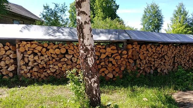 Поездка в Красново.