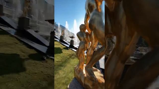 4 УРОК РЕПОРТАЖНАЯ СЪЕМКА ️ #события #курсповидео #видеокурс #reels #обучениевидео #курспорилс