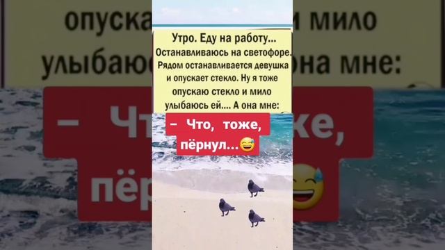 На светофоре #юмор #афоризмы #цитаты #шутки #анекдоты #приколы #девушка #топ #рек