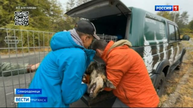 В ЛНР стартовала работа гуманитарного ветотряда от фонда "Следы человека"