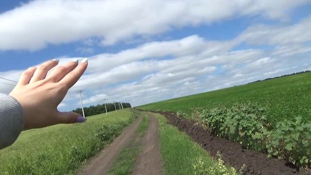 Art Manij VLOG Выезд на природу🌳 по полям 🌾💦 Дима оператор🌺Июль 2024