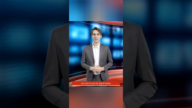 Квадробер в курятнике, стихотворение Александра Пашкова