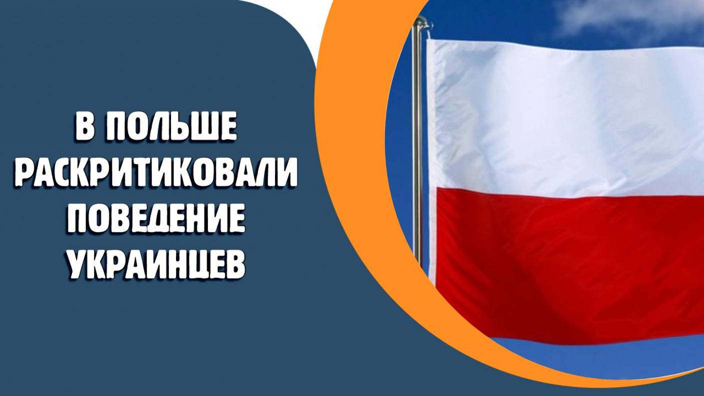 В Польше раскритиковали поведение украинцев в стране