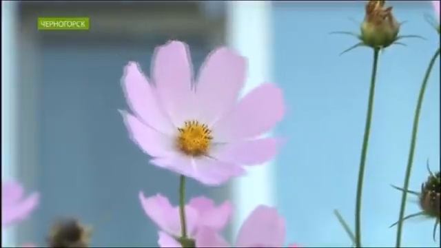NotaBene 09.09.2020