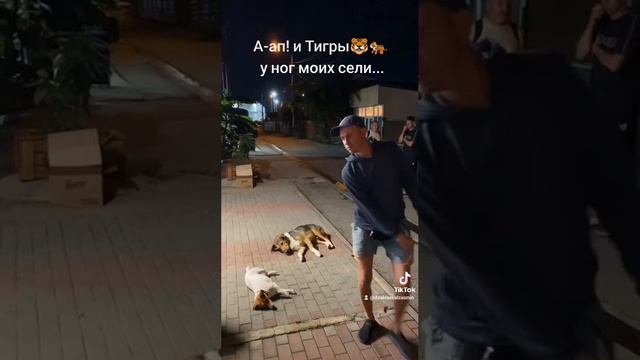 Джек-Рассел Жасмин 🐕 и Бродяга Братан 🐶.mp4