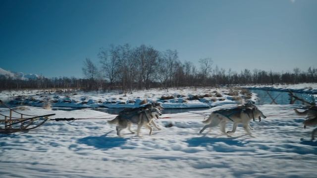 Зимняя Камчатка: женский взгляд