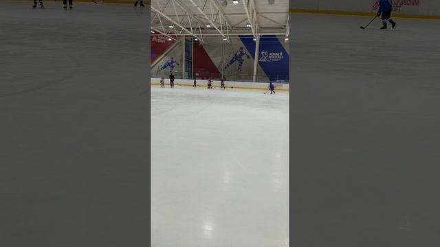 хокк