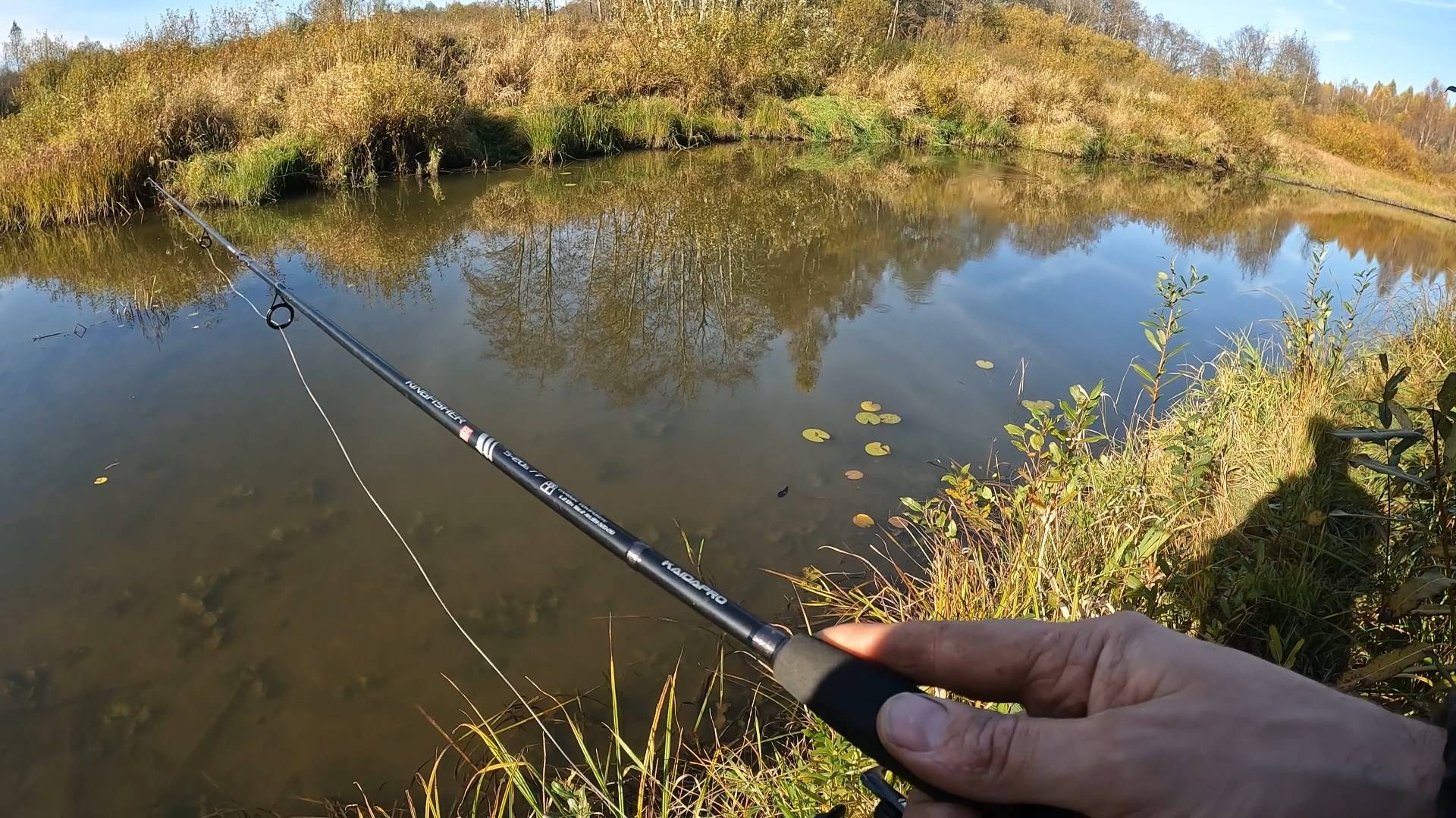 из леса на речку!🐟🐟🐟🐟👀