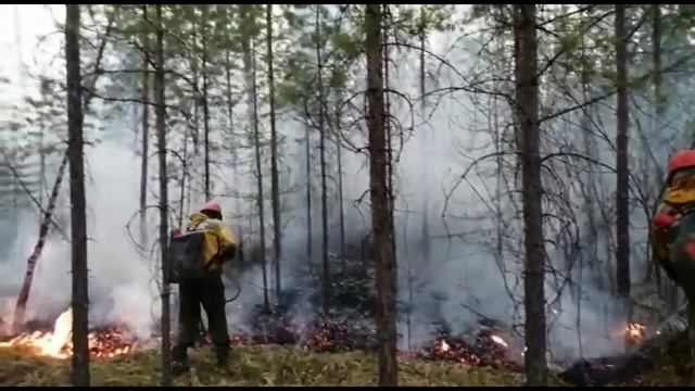 Видео тушения в Забайкальском крае