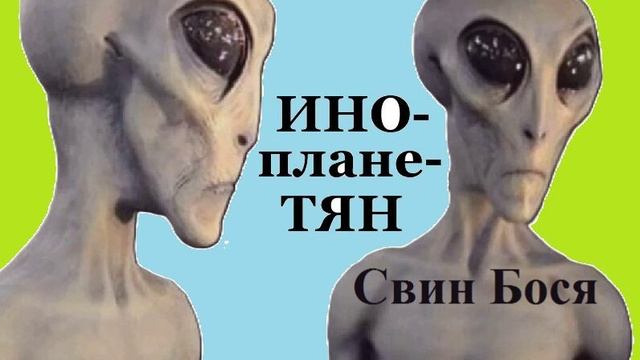 Свин Бося . ИНО ПЛАНЕ ТЯН