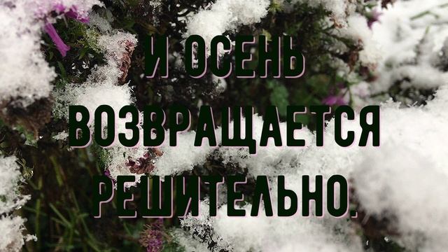 Первый снег. Стихи и видеомонтаж мои. Музыка Моцарта