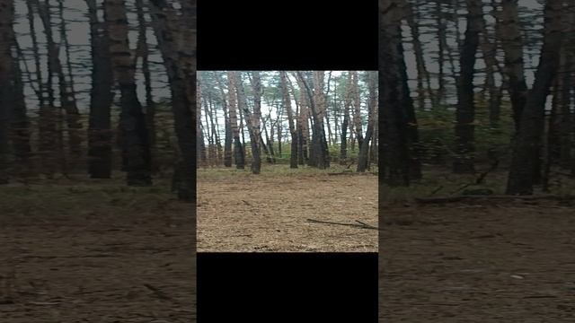 заглянула на минутку подышать чистым воздухом