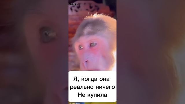 НЕ НУ КАК ТАК МОЖНО 🥺