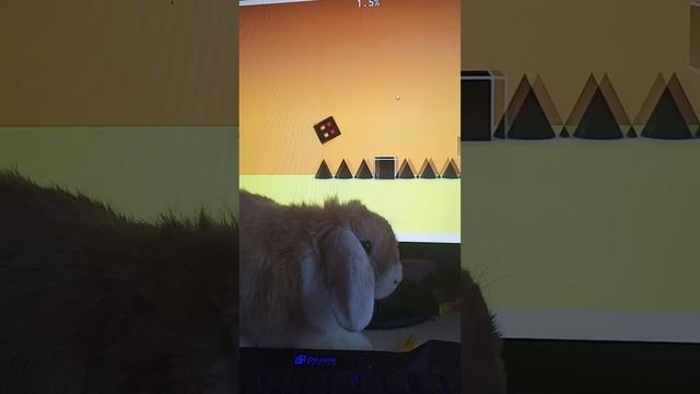гарик играет в Gomi3dach в роблоксе