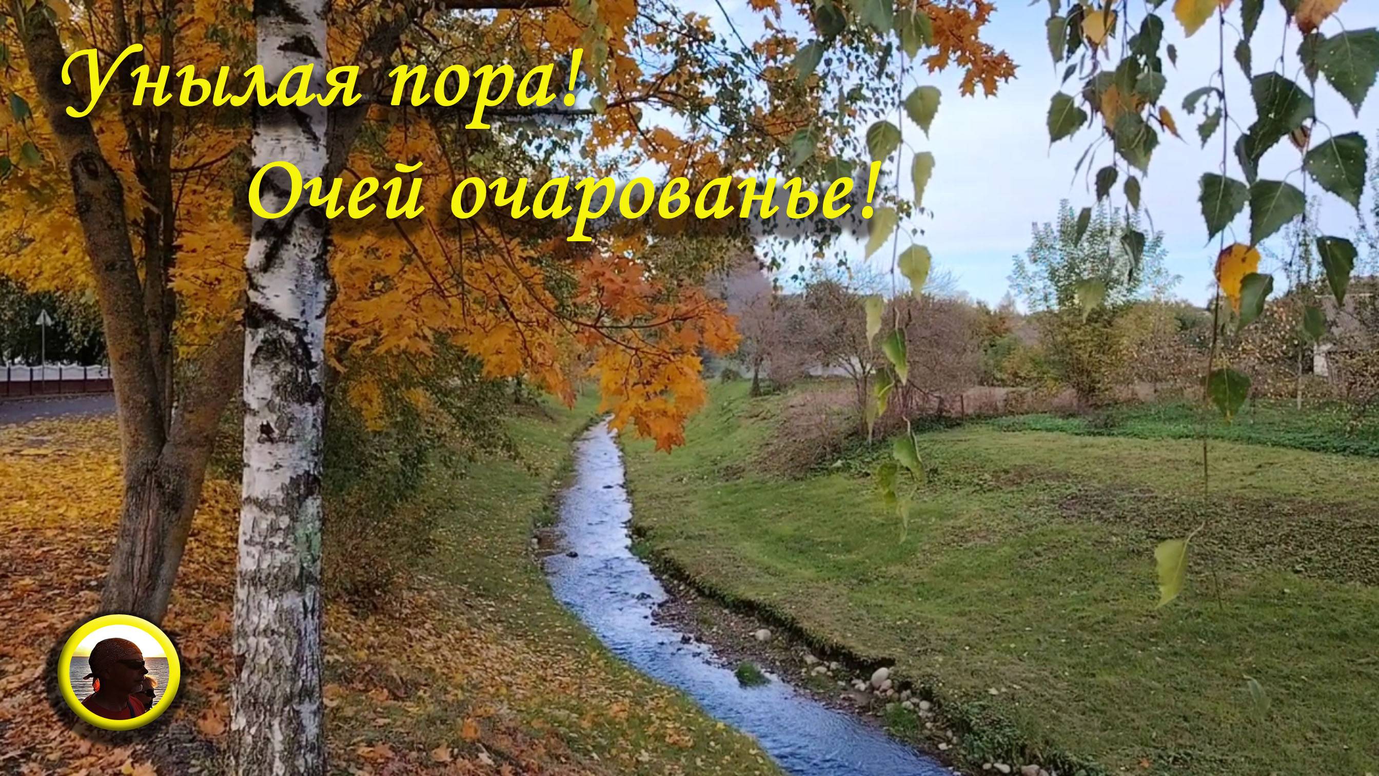 Унылая пора! Очей очарованье!