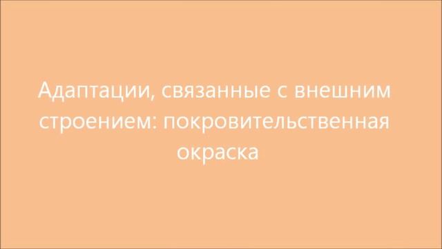 Приспособленность организмов к среде обитания