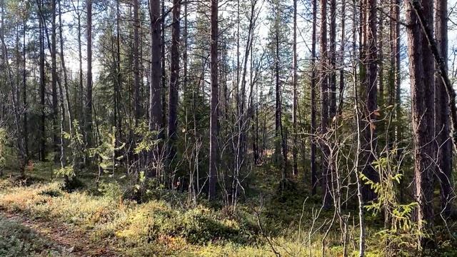 ТЫ КРУТ ПО УМОЛЧАНИЮ...