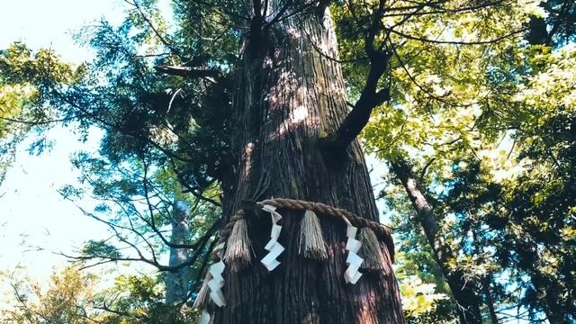 iPhoneだけで撮影してみた in 高尾山