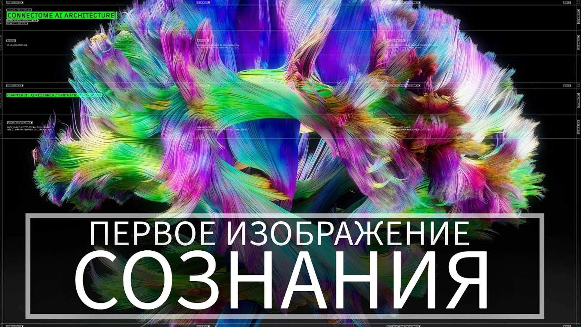 Что такое сознание в 2024