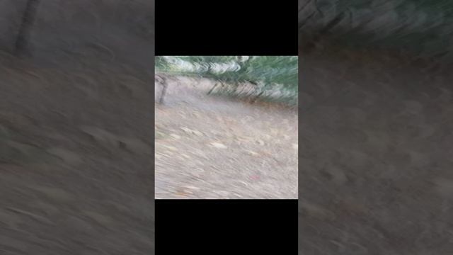 НАСТРОЕНИЕ СУЕТА