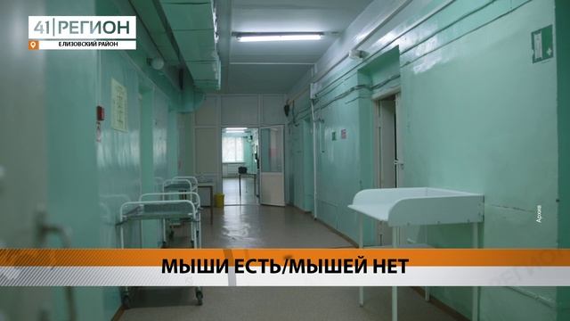 МЫШЕЙ ЗАМЕТИЛИ В СТЕНАХ ИНФЕКЦИОННОГО ОТДЕЛЕНИЯ ЕЛИЗОВСКОЙ БОЛЬНИЦЫ • НОВОСТИ КАМЧАТКИ