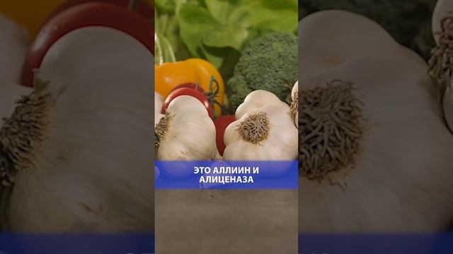 Индийская медицина по-русски