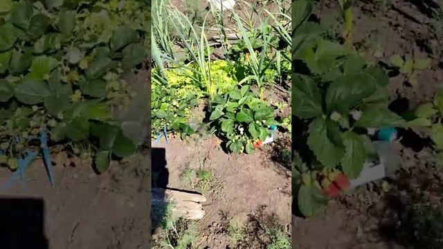 video_2024-10-16_08-08-08