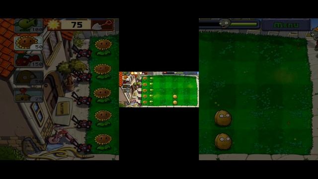 1000006159.mp4j