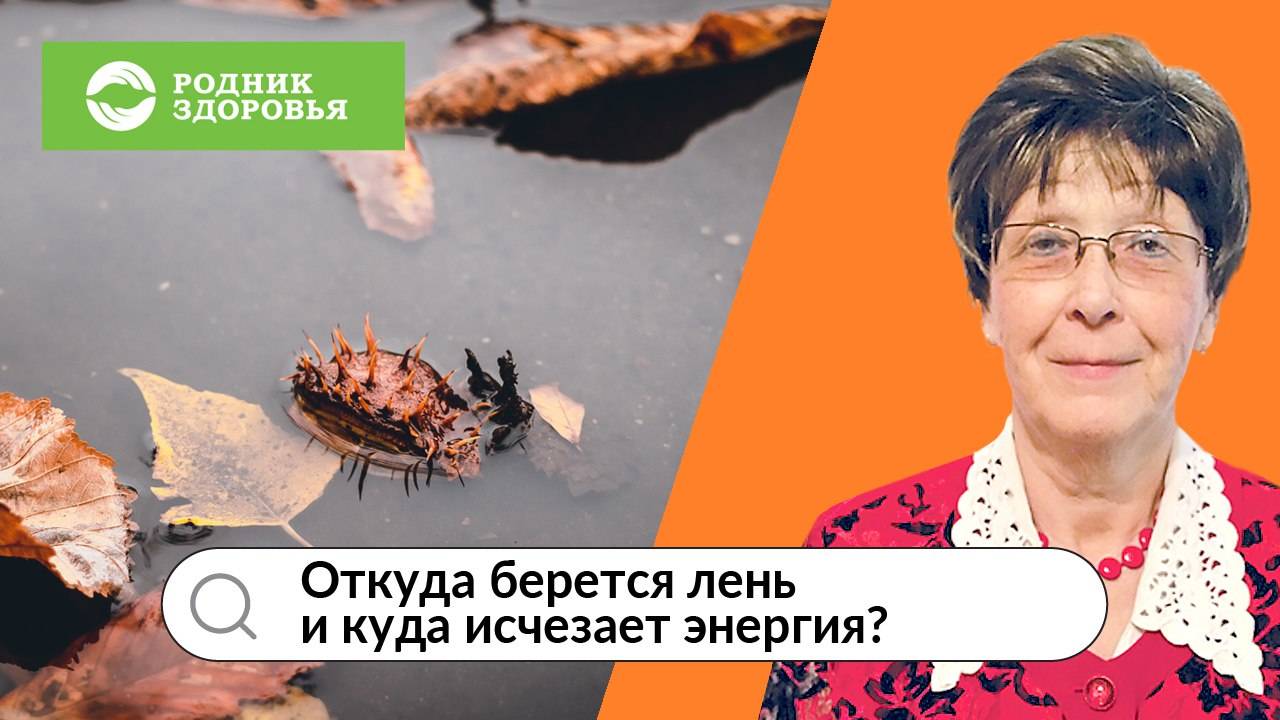 Вебинар Н.В. Пашковой - Откуда берется лень и куда исчезает энергия?