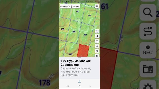 Квартальная сетка лесов