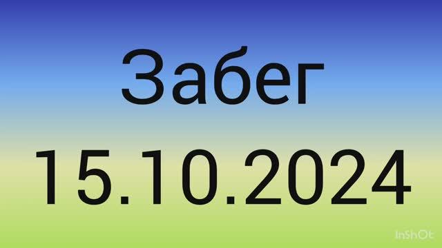 Забег 15.10.2024