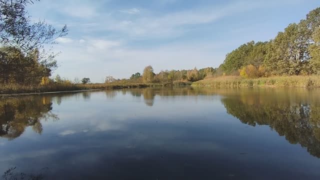 Живая природа, речка осенью