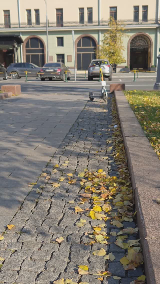 Золотая осень в Москве. Листопад. Гостиница Метрополь.