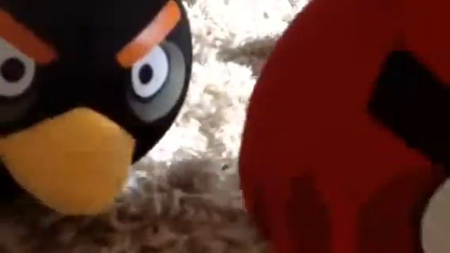 Мои птицы Angey Birds