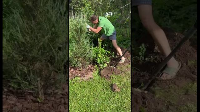 Это только кажется, что сад женское дело