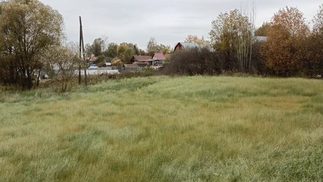 осеннее поле в Московской области