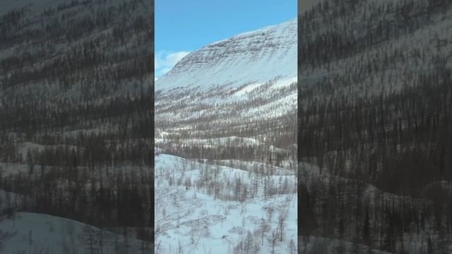 Белое безмолвие, от которого захватывает дух ❄️