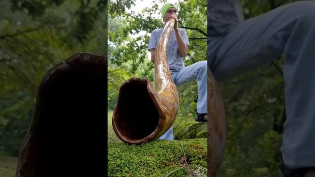 🔹ДИДЖЕРИДУ ИЗ ДУБА • Пример звучания 🔹