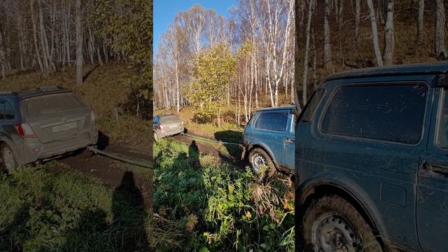 эта машина ВЫСОСАЛАСЬ )