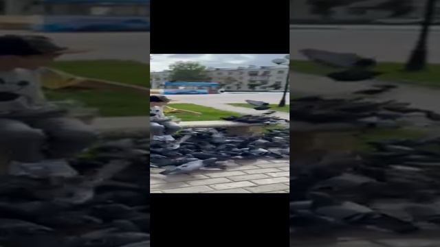 гуля апокалипсис часть2