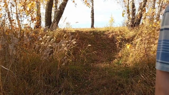 На берегу озера Б.Песьяное