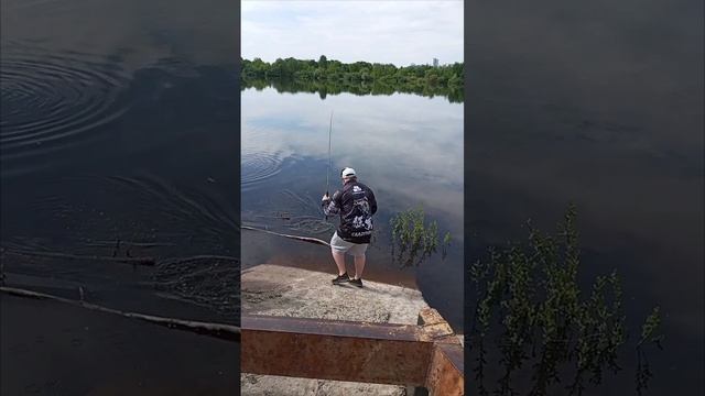 клюнул окунь