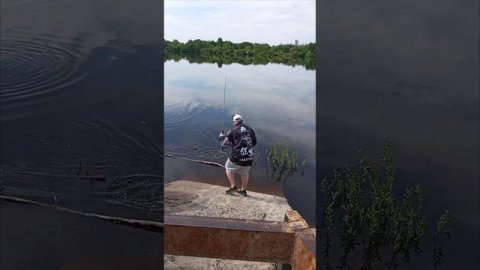 клюнул окунь